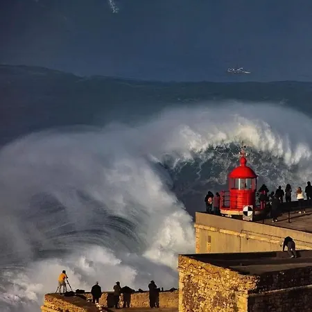 Estrela Do Mar *