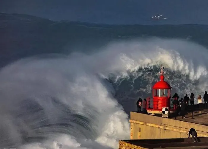 Estrela Do Mar *
